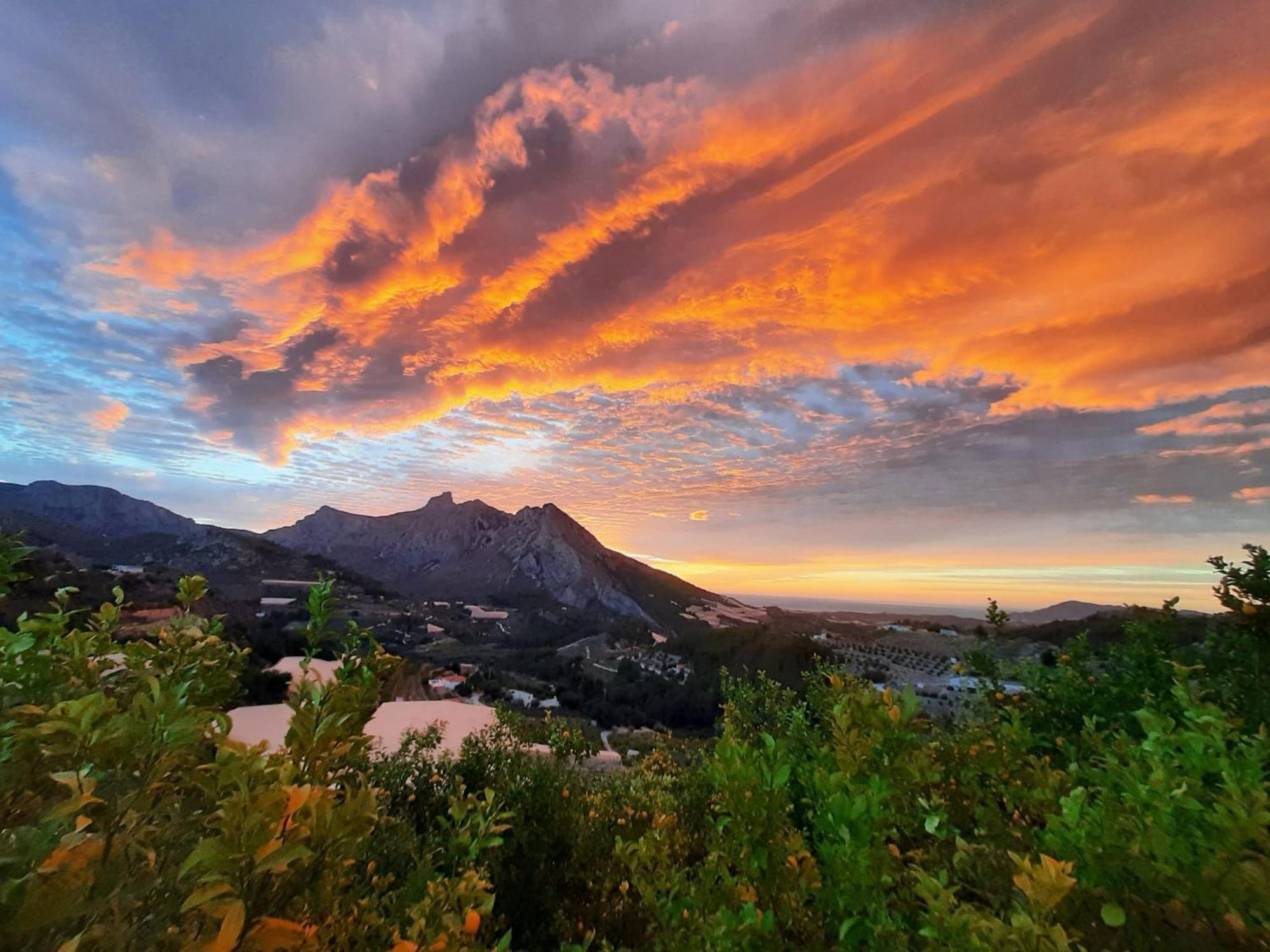 Finca Oliva Bolulla Buitenkant foto