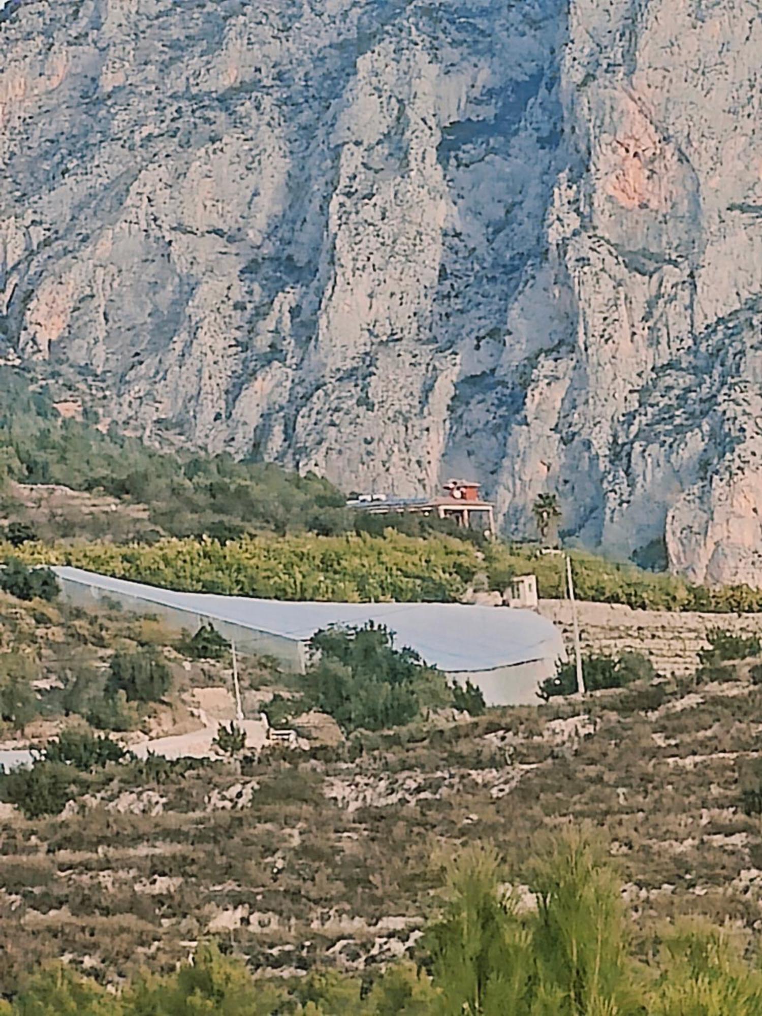 Finca Oliva Bolulla Buitenkant foto