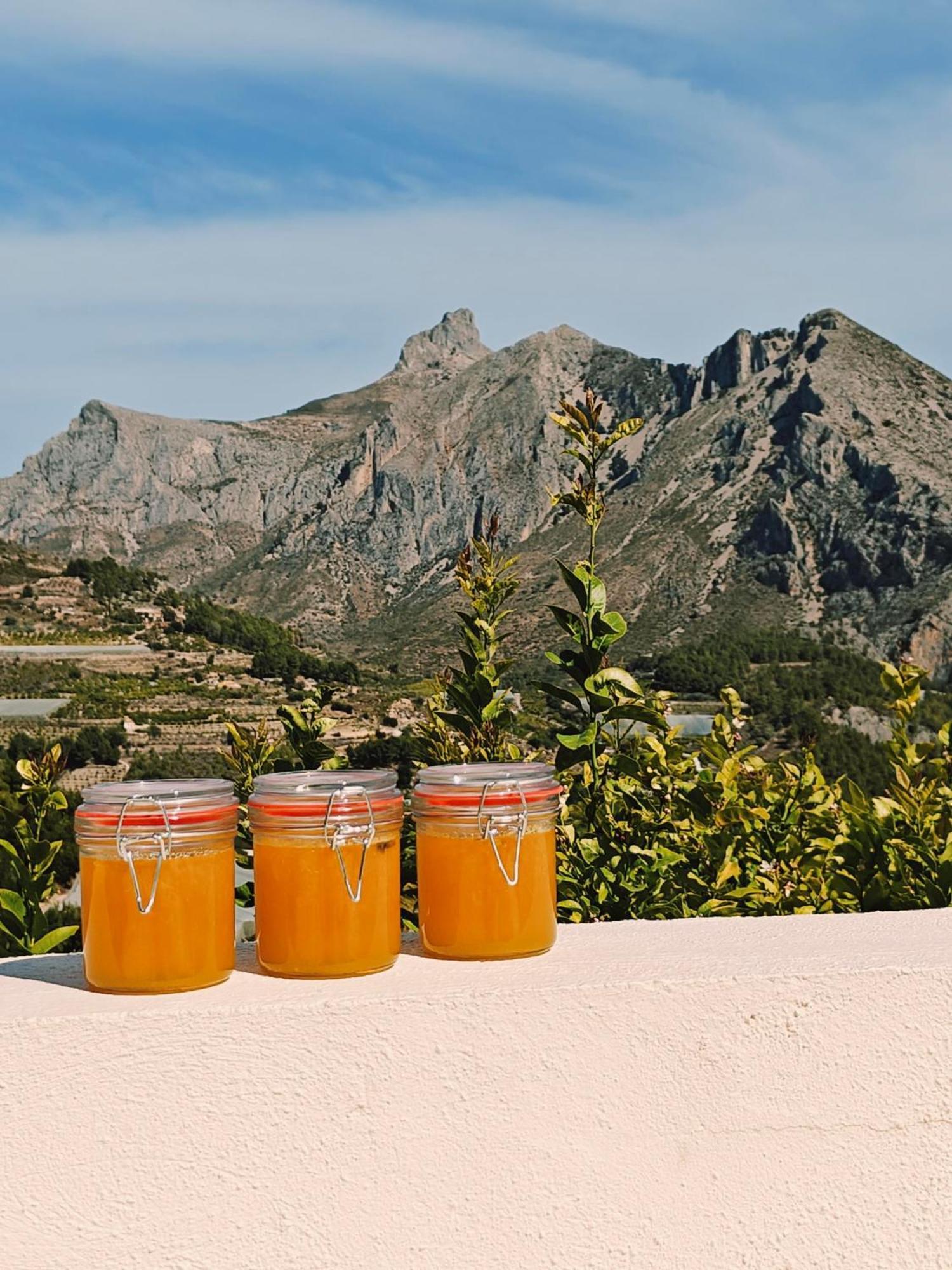 Finca Oliva Bolulla Buitenkant foto