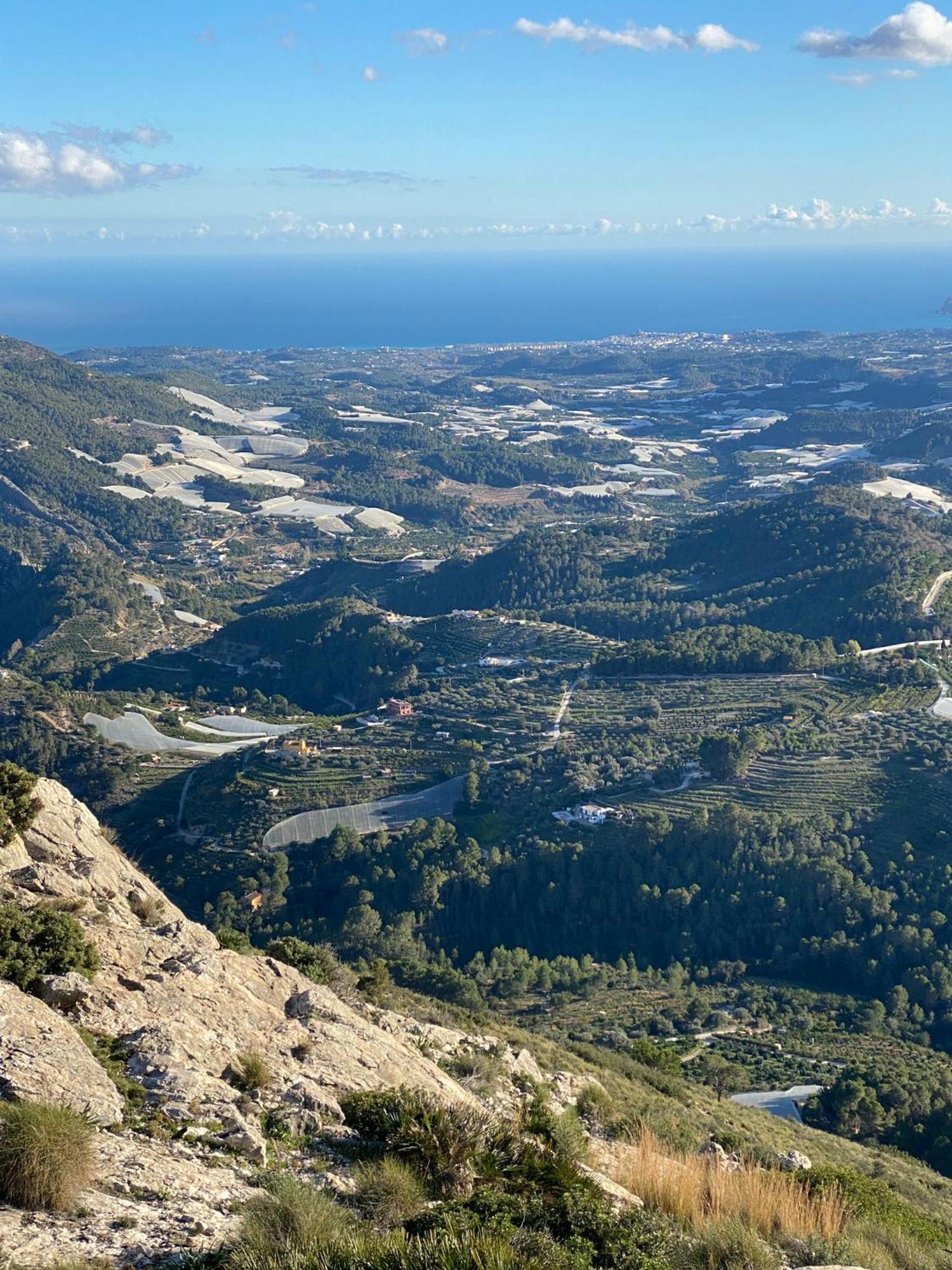 Finca Oliva Bolulla Buitenkant foto