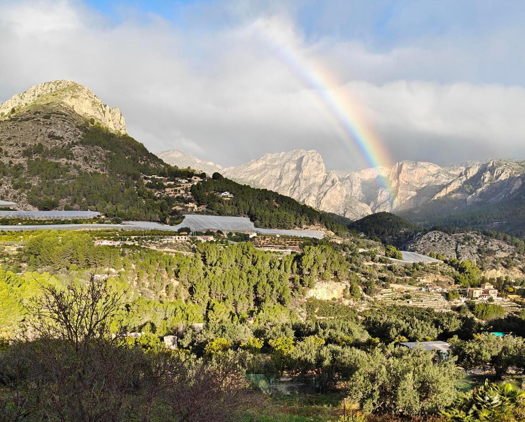 Finca Oliva Bolulla Buitenkant foto